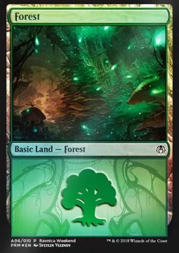 Forest