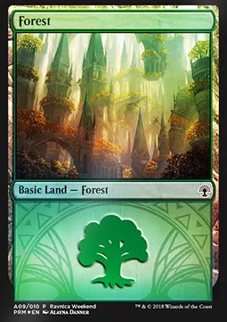 Forest