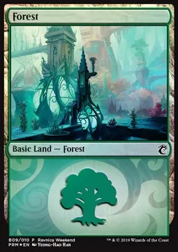 Forest