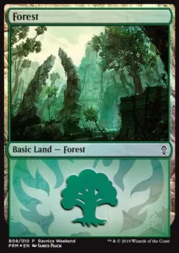 Forest