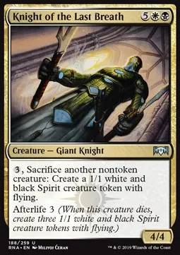 Knight of the Last Breath