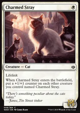 Charmed Stray