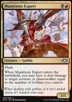 Munitions Expert