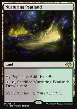 Nurturing Peatland