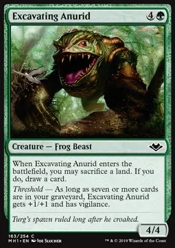 Excavating Anurid