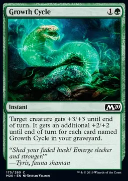 Growth Cycle