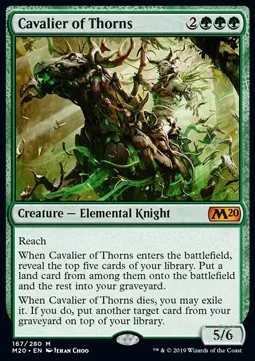 Cavalier of Thorns