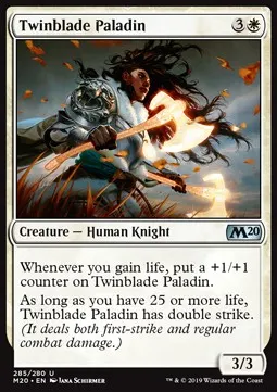 Twinblade Paladin