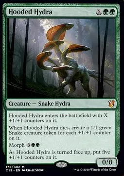 Hooded Hydra