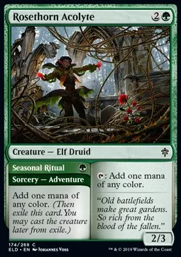 Rosethorn Acolyte // Seasonal Ritual