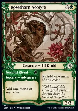 Rosethorn Acolyte // Seasonal Ritual