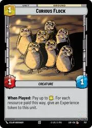 Curious Flock