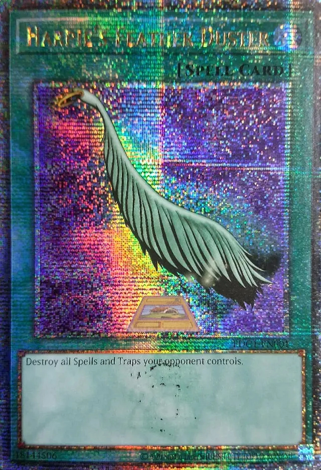 Harpie's Feather Duster