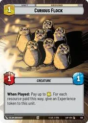 Curious Flock