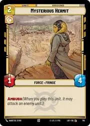 Mysterious Hermit