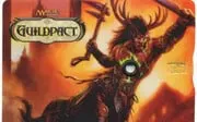 Guildpact Life Counter