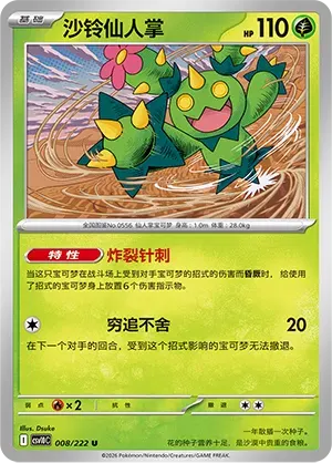 Maractus