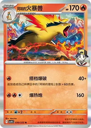 Ethan's Typhlosion