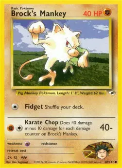 Brock's Mankey
