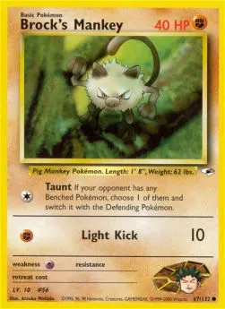Brock's Mankey
