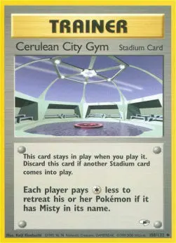 Cerulean City Gym