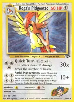 Koga's Pidgeotto