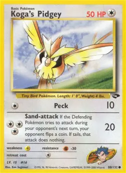 Koga's Pidgey