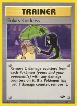 Erika's Kindness