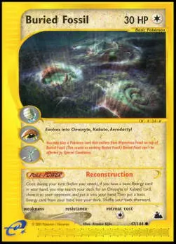 Buried Fossil