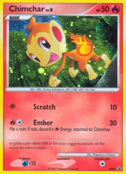 Chimchar Lv.8