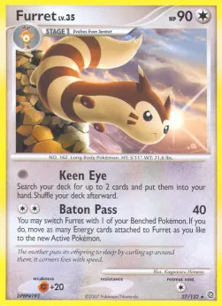 Furret Lv.35