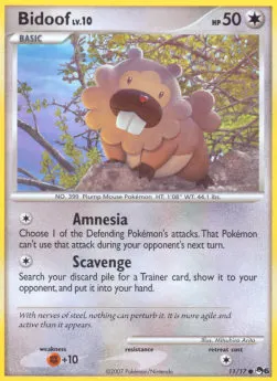 Bidoof Lv.10