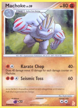 Machoke Lv.39