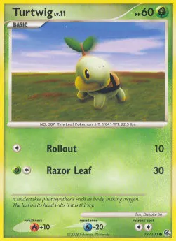 Turtwig Lv.11