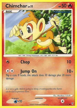 Chimchar Lv.11