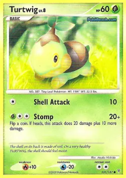Turtwig Lv.10