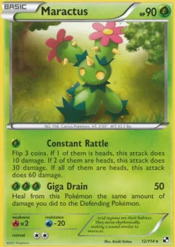 Maractus
