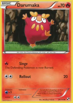 Darumaka
