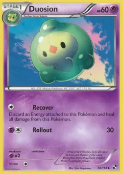 Duosion
