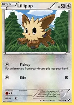 Lillipup