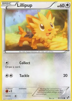Lillipup