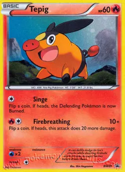 Tepig