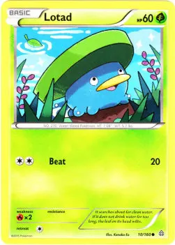 Lotad