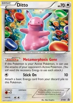 Ditto