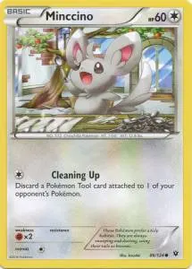 Minccino