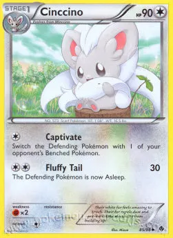 Cinccino