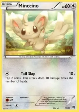 Minccino