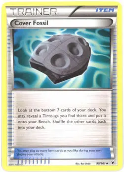 Cover Fossil