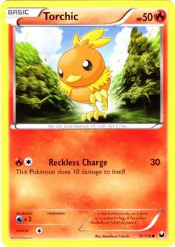 Torchic