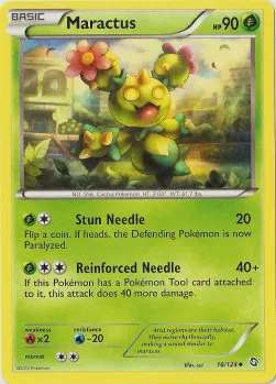 Maractus